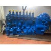 MWM TBD 234 V 8 0401878140-PE8P120A520/5RS427 FUEL PUMP